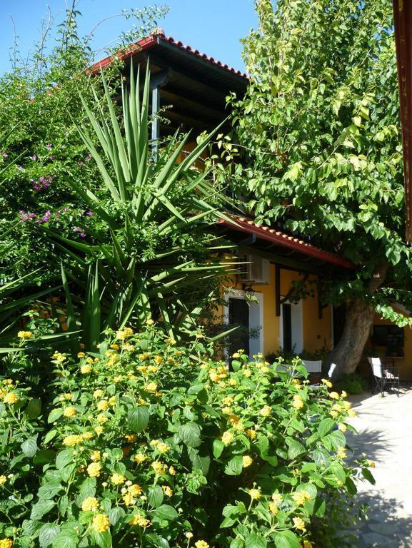 Meliti Guesthouse Akrata Exteriér fotografie