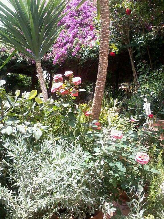 Meliti Guesthouse Akrata Exteriér fotografie