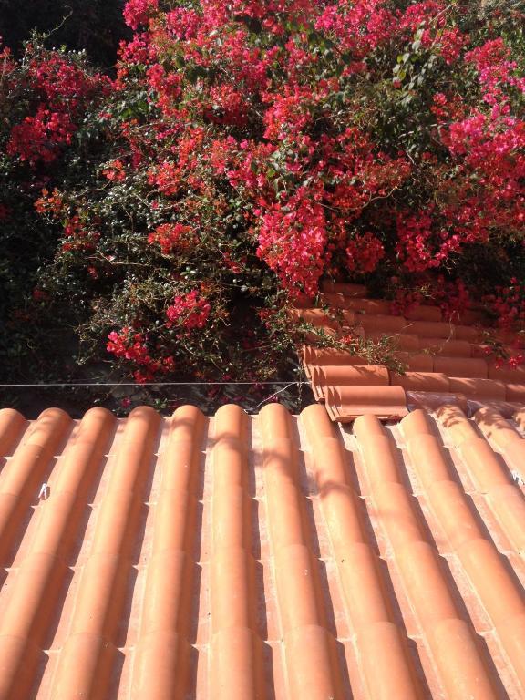 Meliti Guesthouse Akrata Exteriér fotografie
